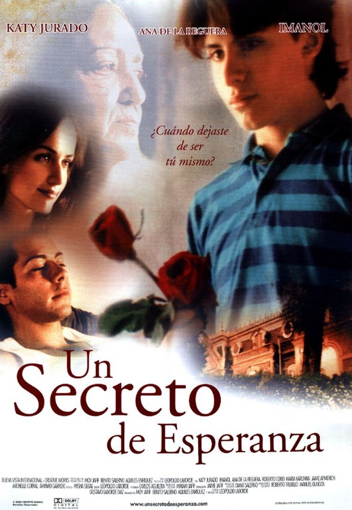 Секрет надежды (2002) постер