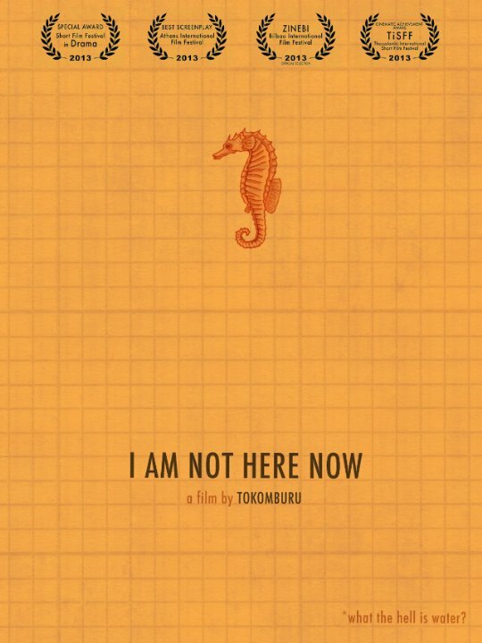 I Am Not Here Now (2013) постер