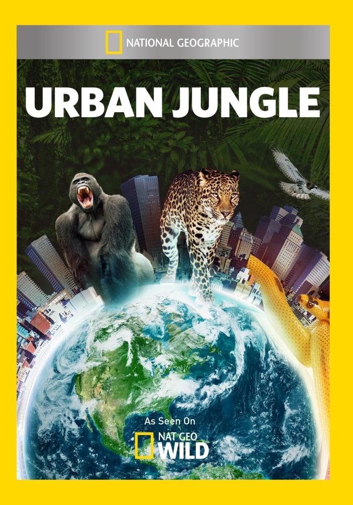 Городские джунгли (2014) постер