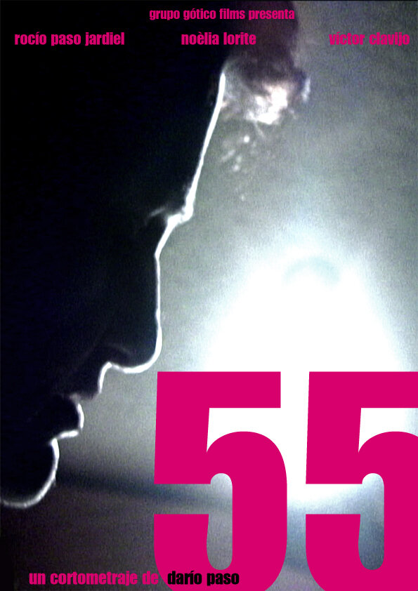 55 (2009) постер