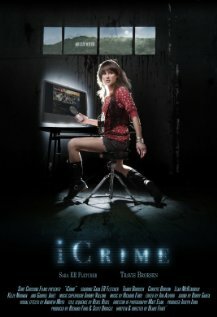 Преступление по интернету (2010) постер