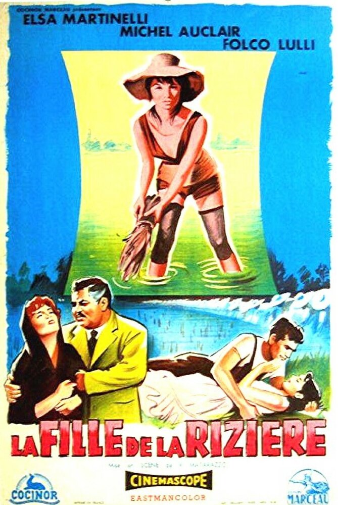 Рисовое поле (1956) постер