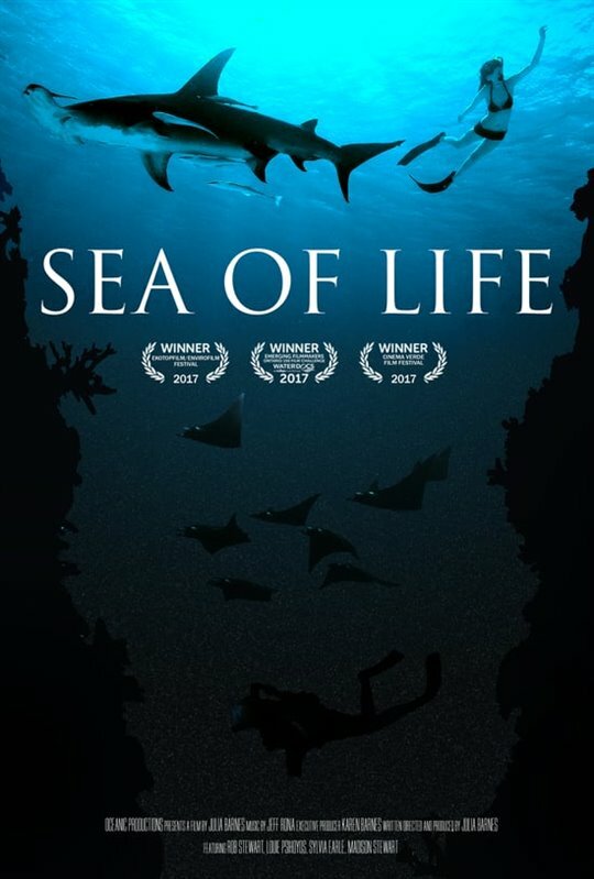 Море жизни (2017) постер