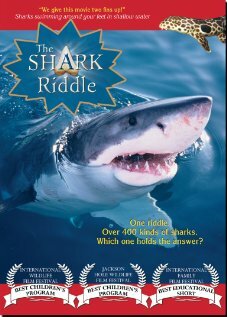 The Shark Riddle (2011) постер