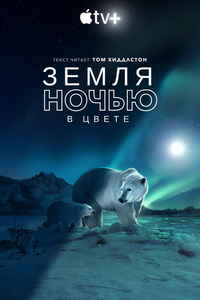 Земля ночью в цвете (2020) постер