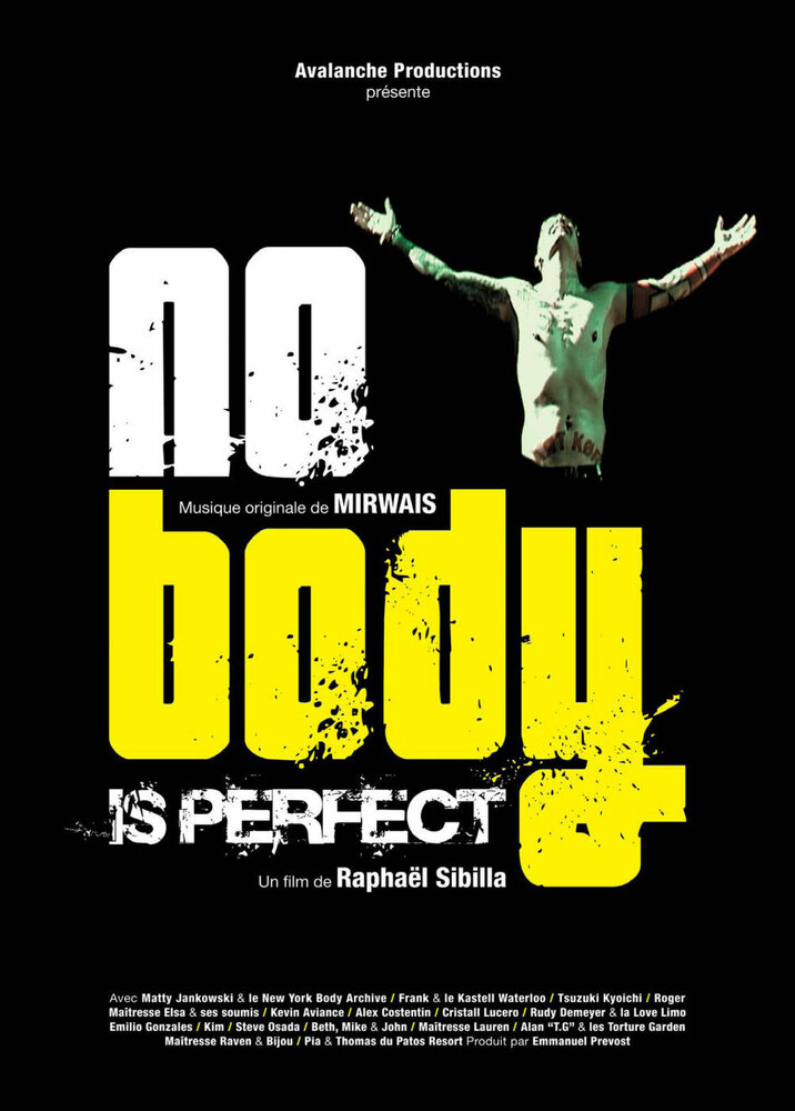 Nobody Is Perfect (2005) постер