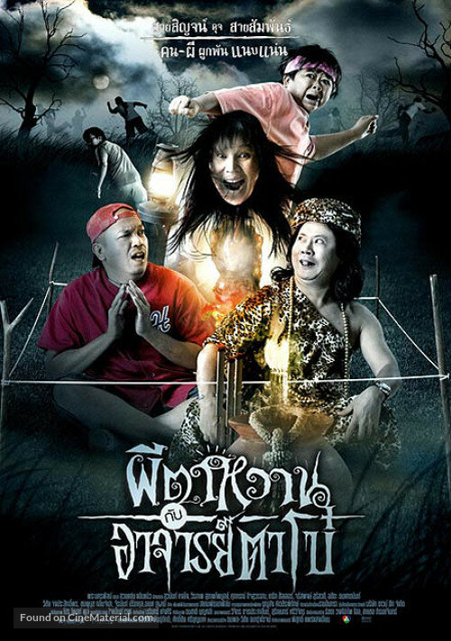 Привидение и Мастер Бо (2008) постер
