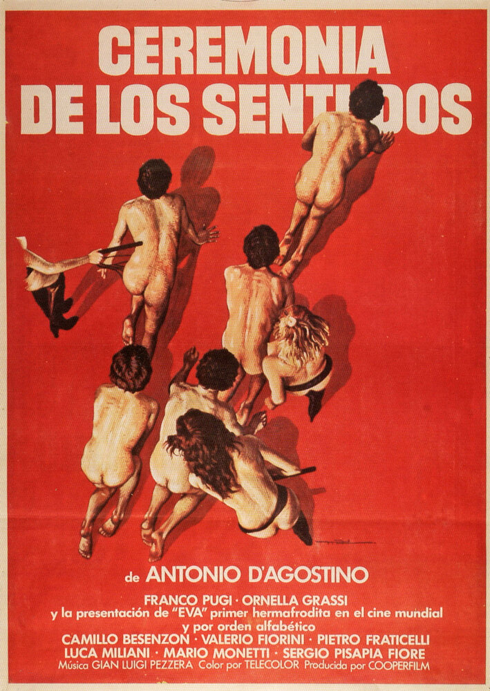 Церемония чувств (1979) постер