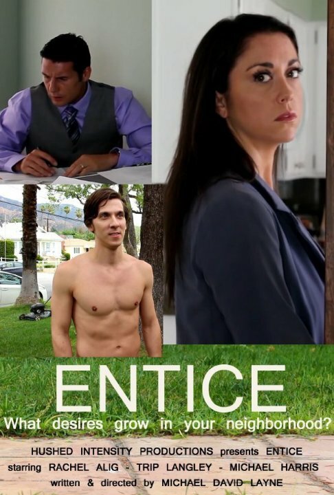 Entice (2015) постер
