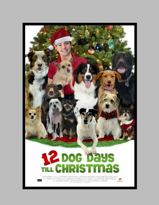 12 Dog Days of Christmas (2014) постер