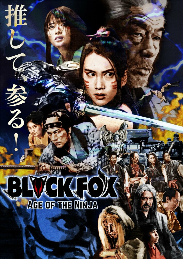 Чёрная лиса: Эпоха ниндзя (2019) постер