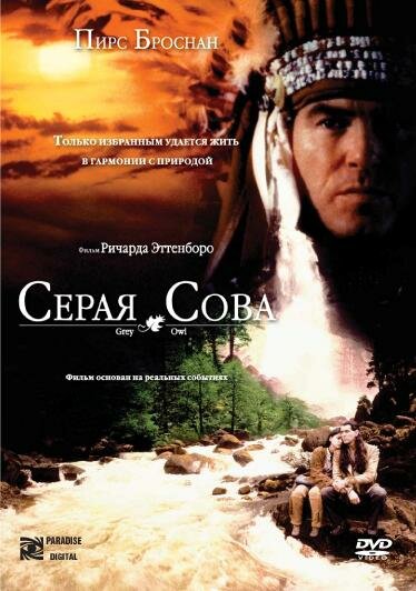 Серая сова (1998) постер