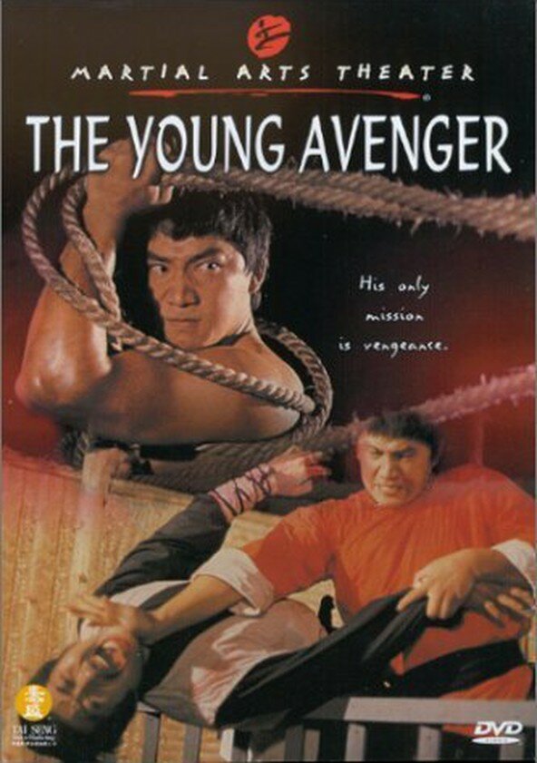 Молодой мститель (1980) постер