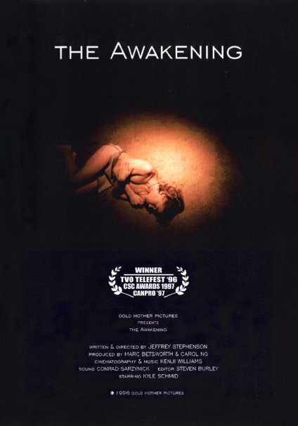 The Awakening (1996) постер