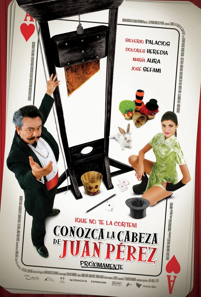 Conozca la cabeza de Juan Pérez (2008) постер