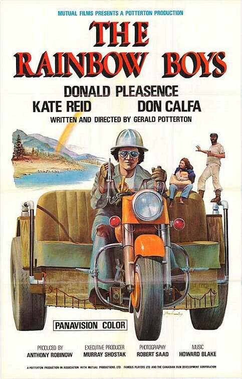 Радужные мальчики (1973) постер