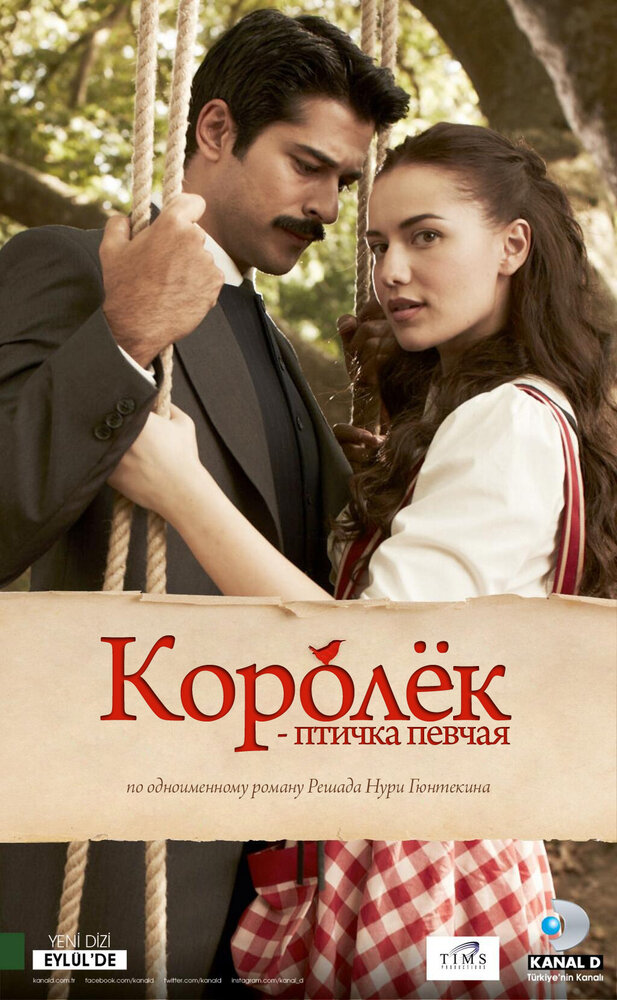 Королёк – птичка певчая (2013) постер
