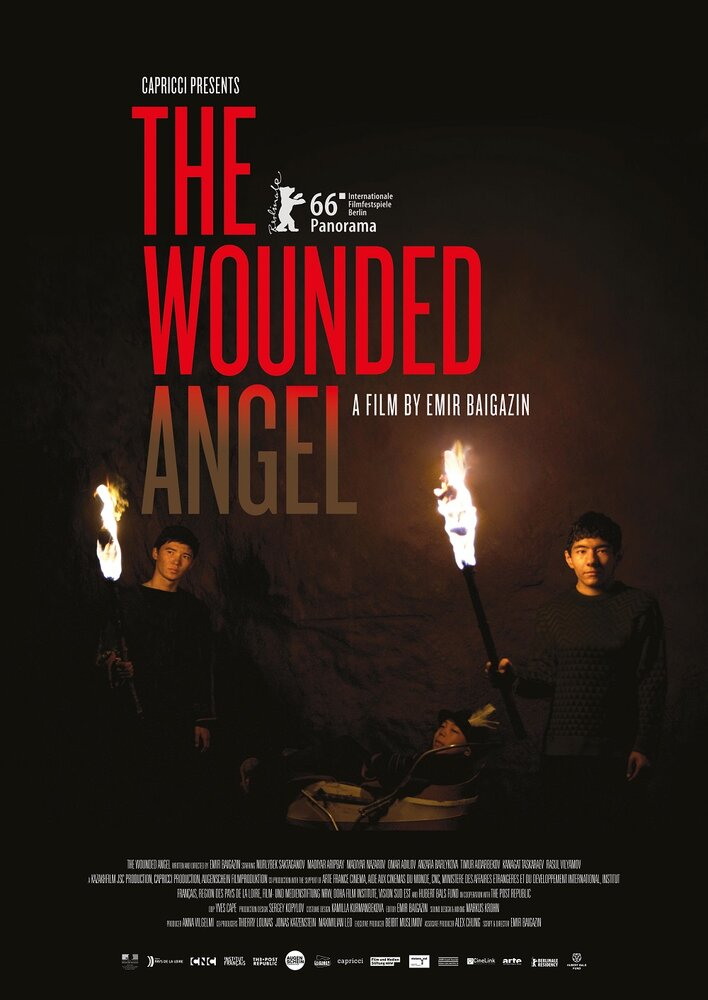 Раненый ангел (2016) постер