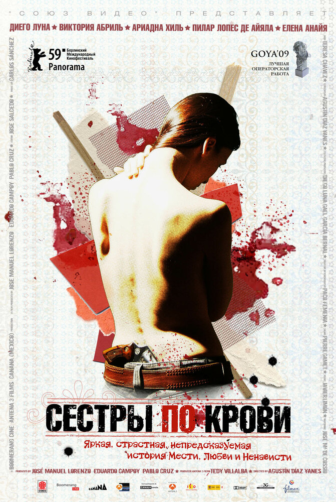 Сестры по крови (2008) постер