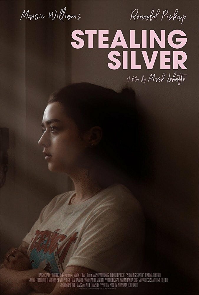 Stealing Silver (2018) постер
