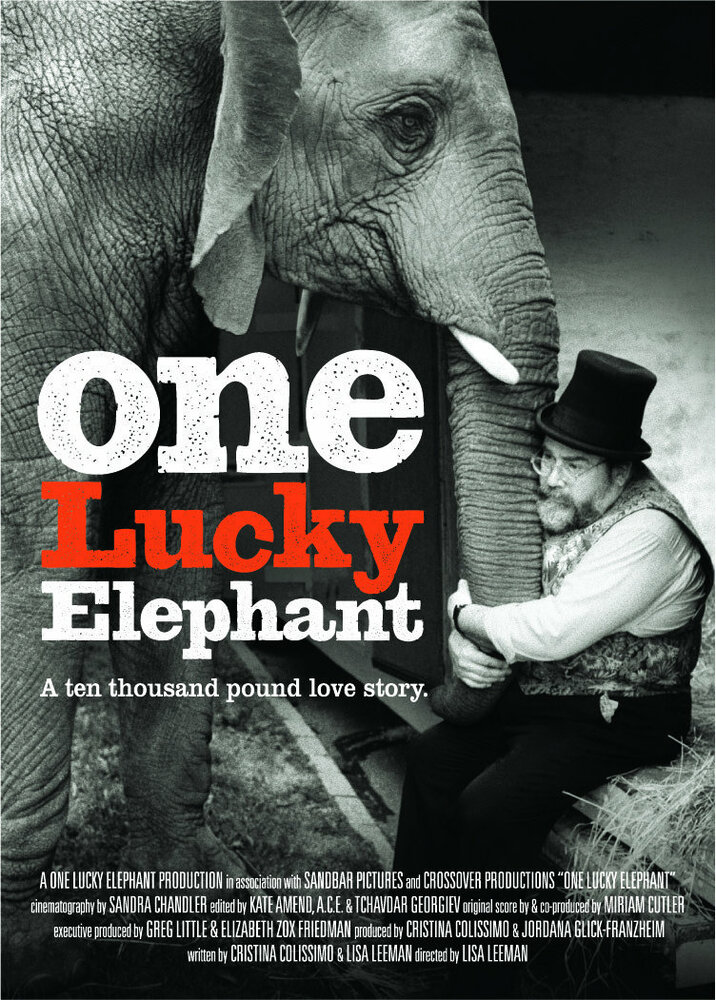 Счастливая слониха (2010) постер