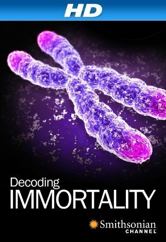 Immortal (2010) постер