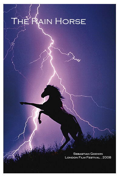 Лошадь дождя (2008) постер