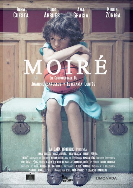 Moiré (2014) постер