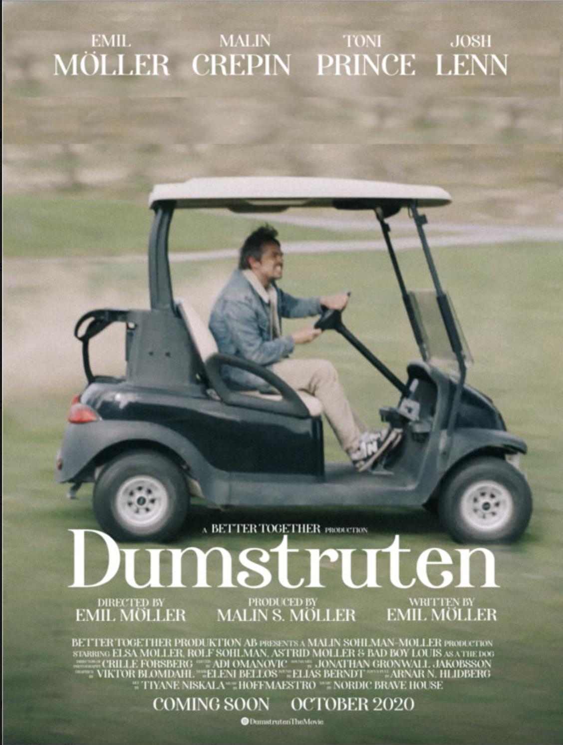 Dumstruten (2020) постер