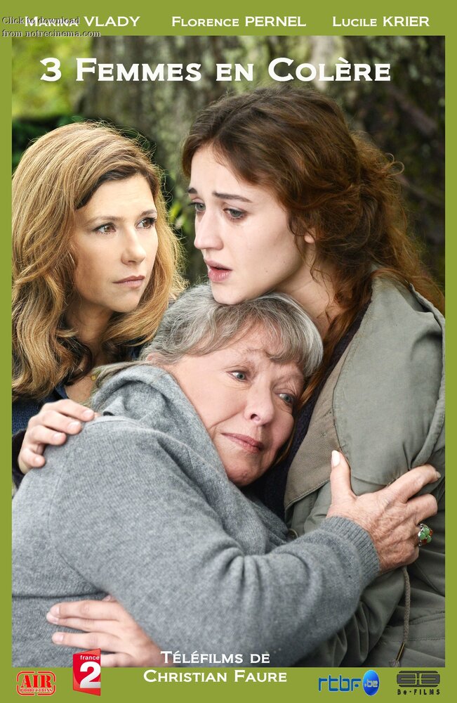Три рассерженные женщины (2013) постер