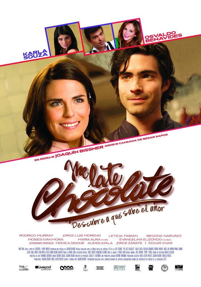 Мой поздний шоколад (2013) постер