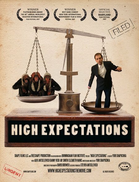 High Expectations (2007) постер