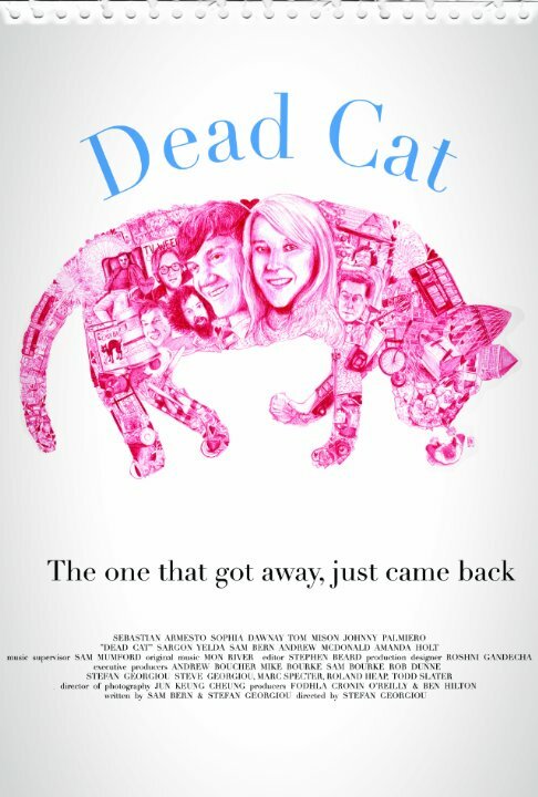 Мертвый кот (2013) постер