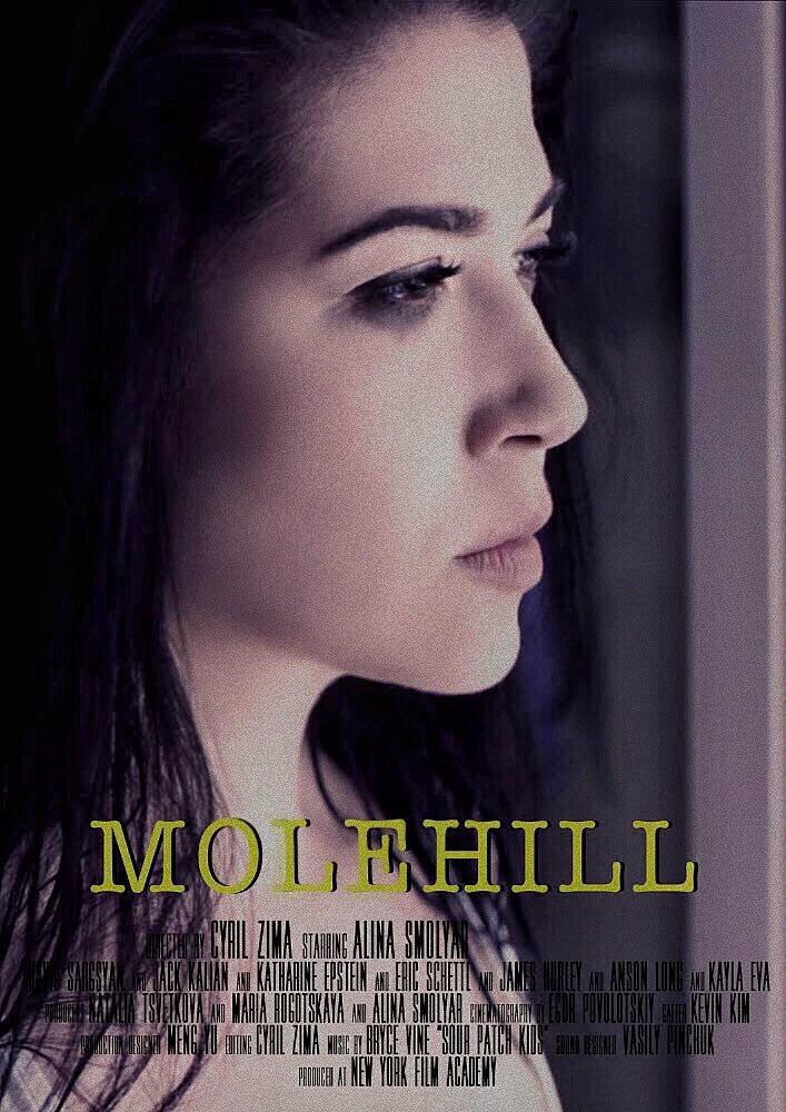 Molehill (2017) постер