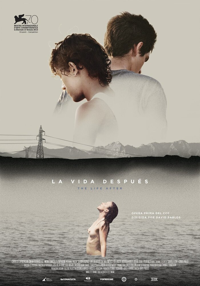 Жизнь после (2013) постер