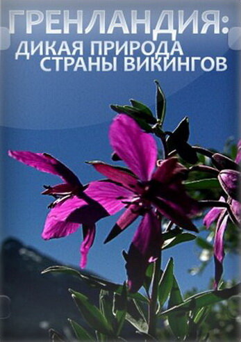 Гренландия: Дикая природа страны викингов (2005) постер