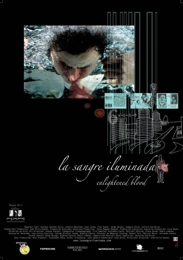 La sangre iluminada (2007) постер